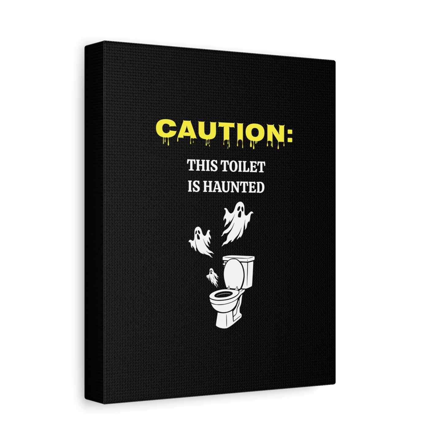 Caution: This Toilet is Haunted